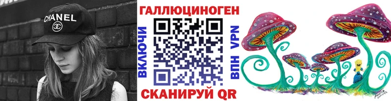 mega как войти  цены   Новосокольники  Галлюциногенные грибы Psilocybine cubensis 